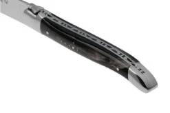 Laguiole En Aubrac, 22C99BUIH, Juego De 2 Cuchillos De Carne, Cuerno De Búfalo 12 Laguiole En Aubrac, 22C99BUIH, Juego De 2 Cuchillos De Carne, Cuerno De Búfalo -Kinifeses Comercio AU22C99BUIH 04 laguiole