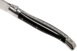 Laguiole En Aubrac Juego De Cuchillos Para Carne 6-unidades De Cuerno De Búfalo 13 Laguiole En Aubrac Juego De Cuchillos Para Carne 6-unidades De Cuerno De Búfalo -Kinifeses Comercio AU62C99BUIH 06 laguiole en aubrac v202111