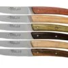 Claude Dozorme Le Thiers Juego De Cuchillos Para Carne 6-piezas, Diferentes Tipos De Madera -Kinifeses Comercio CD2 90 001 16 01 claude dozorme 1
