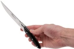 Claude Dozorme Le Thiers Juego De Cuchillos Para Carne 6-unidades, Madera De ébano 18 Claude Dozorme Le Thiers Juego De Cuchillos Para Carne 6-unidades, Madera De ébano -Kinifeses Comercio CD5 90 001 70MI 08 claude dozorme cd5 90 001 70mi 08 1