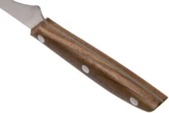 Due Cigni 1896, 2C1012NO Cuchillo Para Filetear 18 Cm, Madera De Nogal -Kinifeses Comercio DG2C1012NO 04 due signi 1896