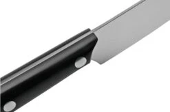 Due Cigni 1896 America 2C1019SET4, Juego De Cuchillos Para Carne De 4 Piezas, Negro -Kinifeses Comercio DG2C1019SET4 06 duecigni 1