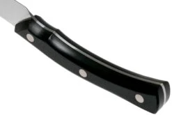 Due Cigni Arne Line Cuchillo Para Pelar 10 Cm, Negro -Kinifeses Comercio DG2C901 04 due cigni arne