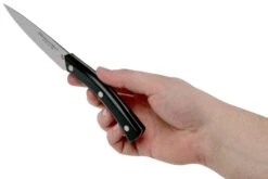 Due Cigni Arne Line Cuchillo Para Pelar 10 Cm, Negro -Kinifeses Comercio DG2C901 06 due cigni arne