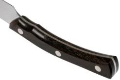 Due Cigni Arne Line Cuchillo Dentado Para Carne 11 Cm, Zircote -Kinifeses Comercio DG2C907ZW 04 due cigni arne