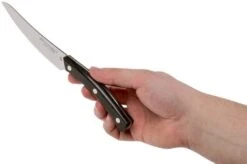 Due Cigni Arne Line Cuchillo Dentado Para Carne 11 Cm, Zircote 13 Due Cigni Arne Line Cuchillo Dentado Para Carne 11 Cm, Zircote -Kinifeses Comercio DG2C907ZW 06 due cigni arne 1