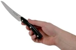 Due Cigni Arne Line Cuchillo Dentado Para Carne 11 Cm, Negro -Kinifeses Comercio DG2C907 06 due cigni arne 1