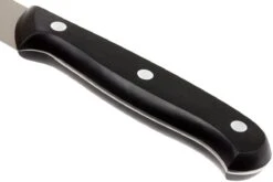 Eden Essentials Cuchillo De Trinchar 20,5 Cm, 2000-120 12 Eden Essentials Cuchillo De Trinchar 20,5 Cm, 2000-120 -Kinifeses Comercio EQ2000 120 04 eden essentials eq2000 120 04