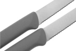 Eden Cuchillos Tomateros Dentados, Gris Claro, 11 Cm, Juego De 2 -Kinifeses Comercio EQ2110 SG11 05 eden