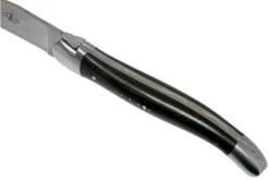 Forge De Laguiole, LAT22MINEB, Juego De Cuchillos Para Carne De 2 Piezas Mate, Madera De ébano 12 Forge De Laguiole, LAT22MINEB, Juego De Cuchillos Para Carne De 2 Piezas Mate, Madera De ébano -Kinifeses Comercio LAT22MINEB 05 forge de laguiole 1