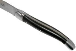 Forge De Laguiole, LAT22MINEB, Juego De Cuchillos Para Carne De 2 Piezas Mate, Madera De ébano 12 Forge De Laguiole, LAT22MINEB, Juego De Cuchillos Para Carne De 2 Piezas Mate, Madera De ébano -Kinifeses Comercio LAT22MINEB 05 forge de laguiole