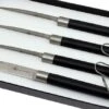 Forge Laguiole, T4BRASSPC Café Bras Juego De Cuchillos Para Carne -Kinifeses Comercio LAT4BRASSPC 01 forge de laguiole lat4brasspc 01 1