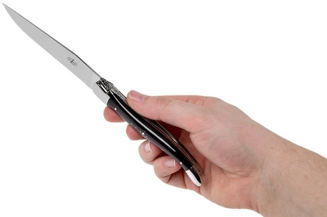 Forge Laguiole Set De 6 Juego De Cuchillos Para Carne, Cuerno Negro, T62MINBN 10 Forge Laguiole Set De 6 Juego De Cuchillos Para Carne, Cuerno Negro, T62MINBN - Imagen 8