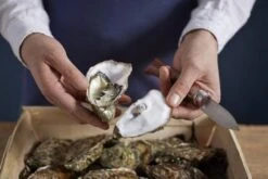 Opinel Cuchillo De Ostras N°09 -Kinifeses Comercio OP001616 07 opinel oestermes op001616 08