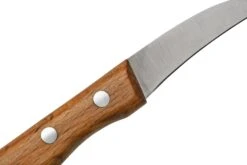 Otter Paring Knife 1011 Curved Stainless Beech, Pelador -Kinifeses Comercio OR1011 05 otter