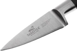 Lion Sabatier Idéal Cuchillo Puntilla 15 Cm, 710980 10 Lion Sabatier Idéal Cuchillo Puntilla 15 Cm, 710980 -Kinifeses Comercio SA710980 03 lion sabatier ideal inox sa710980 03