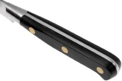 Lion Sabatier Idéal Cuchillo Puntilla 15 Cm, 710980 12 Lion Sabatier Idéal Cuchillo Puntilla 15 Cm, 710980 -Kinifeses Comercio SA710980 05 lion sabatier ideal inox sa710980 05