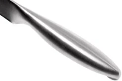 Lion Sabatier Fuso Nitro+ Cuchillo Para Trinchar 20 Cm, 747282 12 Lion Sabatier Fuso Nitro+ Cuchillo Para Trinchar 20 Cm, 747282 -Kinifeses Comercio SA747282 05 lion sabatier fuso sa747282 05