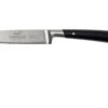 Lion Sabatier Edonist Cuchillo Puntilla 10 Cm, 806380