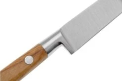 Lion Sabatier Idéal Provençao 841485 Cuchillo De Bistec, 13 Cm -Kinifeses Comercio SA841485 05 sabatier
