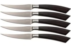 Saladini 6-delige Juego De Cuchillos Para Carne 23 Cm, Cuerno De Búfalo