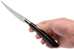 Saladini 6-delige Juego De Cuchillos Para Carne 23 Cm, Cuerno De Búfalo -Kinifeses Comercio SL4001PB6 07 saladini sl4001pb6 07 1