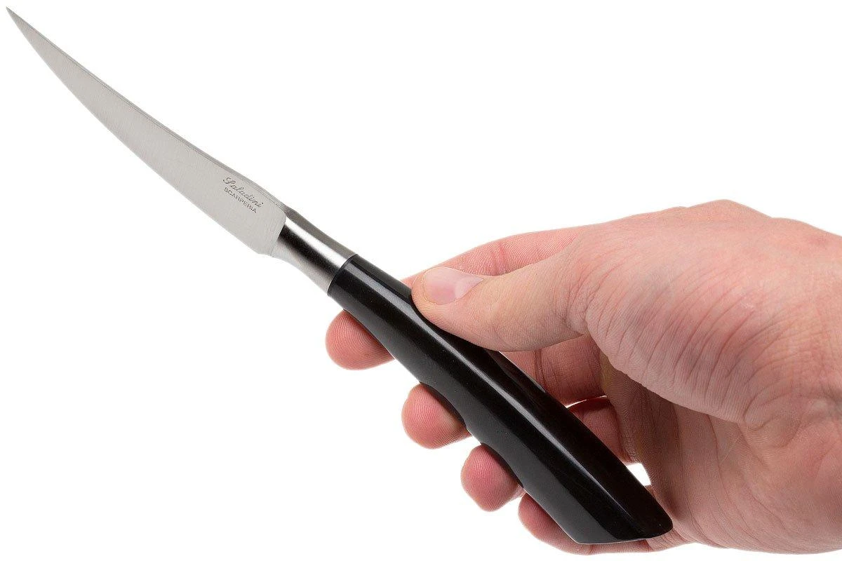 Saladini 6-delige Juego De Cuchillos Para Carne 23 Cm, Cuerno De Búfalo 9 Saladini 6-delige Juego De Cuchillos Para Carne 23 Cm, Cuerno De Búfalo - Imagen 7