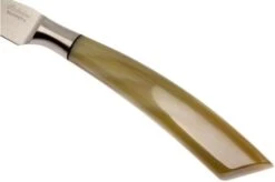 Saladini 6-delige Juego De Cuchillos Para Carne 23 Cm, Cuerno De Buey -Kinifeses Comercio SL4001PC6 05 saladini sl4001pc6 05 1