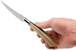 Saladini 6-delige Juego De Cuchillos Para Carne 23 Cm, Cuerno De Buey -Kinifeses Comercio SL4001PC6 07 saladini sl4001pc6 07 1