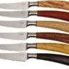 Saladini 6-delige Juego De Cuchillos Para Carne 23 Cm, Set Regalo