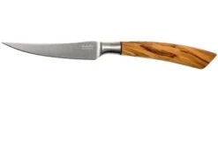 Saladini 6-delige Juego De Cuchillos Para Carne 23 Cm, Set Regalo -Kinifeses Comercio SL4001VL6 03 saladini sl4001vl6 03 1