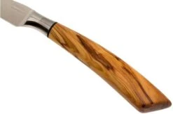 Saladini 6-delige Juego De Cuchillos Para Carne 23 Cm, Set Regalo -Kinifeses Comercio SL4001VL6 06 saladini sl4001vl6 06 1