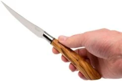 Saladini 6-delige Juego De Cuchillos Para Carne 23 Cm, Set Regalo -Kinifeses Comercio SL4001VL6 08 saladini sl4001vl6 08 1