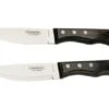 Tramontina Churrasco Jumbo 92000-002, Juego De Cuchillos Para Carne De 2 Piezas -Kinifeses Comercio TC92000 002 01 landhaus