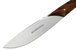 Viper Fiorentina VT7500-02CB Madera De Cocobolo, Juego De Cuchillos Para Carne De 2 Piezas -Kinifeses Comercio VPVT7500 02CB 03 viper 1