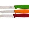 Victorinox SwissClassic Cuchillo De Verduras, Set De 3, 6.7116.32 -Kinifeses Comercio VT6 7116 32 01 victorinox vt6 7116 32 01