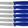 Victorinox SwissClassic 6.7232.6, Juego De Cuchillos Para Carne De 6 Piezas, Azul 2 Victorinox SwissClassic 6.7232.6, Juego De Cuchillos Para Carne De 6 Piezas, Azul -Kinifeses Comercio VT6 7232 6 01 victorinox