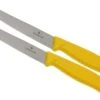 Victorinox SwissClassic Cuchillo Para Carne/-pizza Amarillo, Set De 2, 6.7936.12L8B 1 Victorinox SwissClassic Cuchillo Para Carne/-pizza Amarillo, Set De 2, 6.7936.12L8B -Kinifeses Comercio VT6 7936 12L8B 01 victorinox steakmes geel vt vt6 7936 12l8b 01