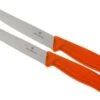 Victorinox SwissClassic Cuchillo Para Carne/-pizza Naranja, Set De 2, 6.7936.12L9B