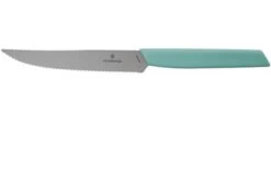 Victorinox Swiss Modern 6.9006.12W41 Cuchillo Para Carne De 12 Cm, Verde