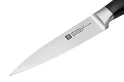 Zwilling All Star 1022777, Juego 2 De Cuchillos, Cuchillo De Chef Y Cuchillo Puntilla, Negro 9 Zwilling All Star 1022777, Juego 2 De Cuchillos, Cuchillo De Chef Y Cuchillo Puntilla, Negro -Kinifeses Comercio ZW1022777 03 zwilling