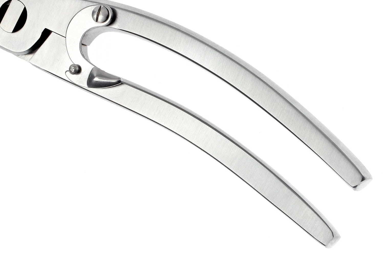 Zwilling Tijeras Para Aves 24 Cm, 42903-000 6 Zwilling Tijeras Para Aves 24 Cm, 42903-000 - Imagen 4