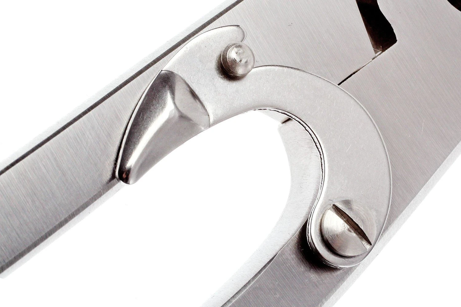 Zwilling Tijeras Para Aves 24 Cm, 42903-000 8 Zwilling Tijeras Para Aves 24 Cm, 42903-000 - Imagen 6